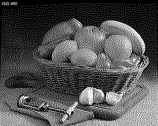 n3_jjn.png